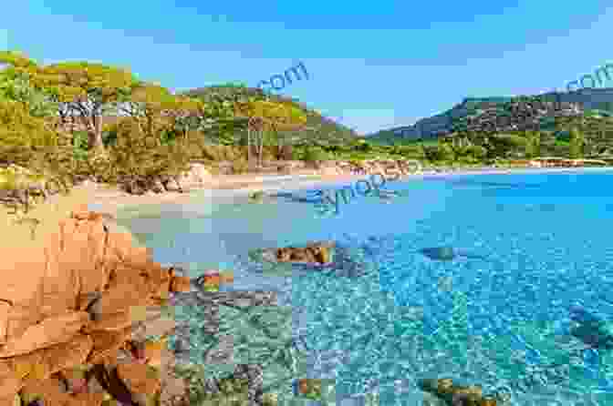 A Breathtaking Photograph Of A Secluded Beach In Corsica, With Crystal Clear Turquoise Waters And Golden Sands, Showcasing The Island's Natural Beauty DK Eyewitness Corsica (Travel Guide)