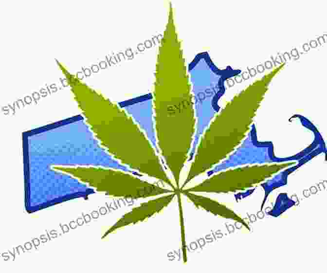 A Close Up Of A Marijuana Leaf With A Green Checkmark Superimposed, Representing The Legalization Of Marijuana In Various Regions Marijuana Gifty Metuge