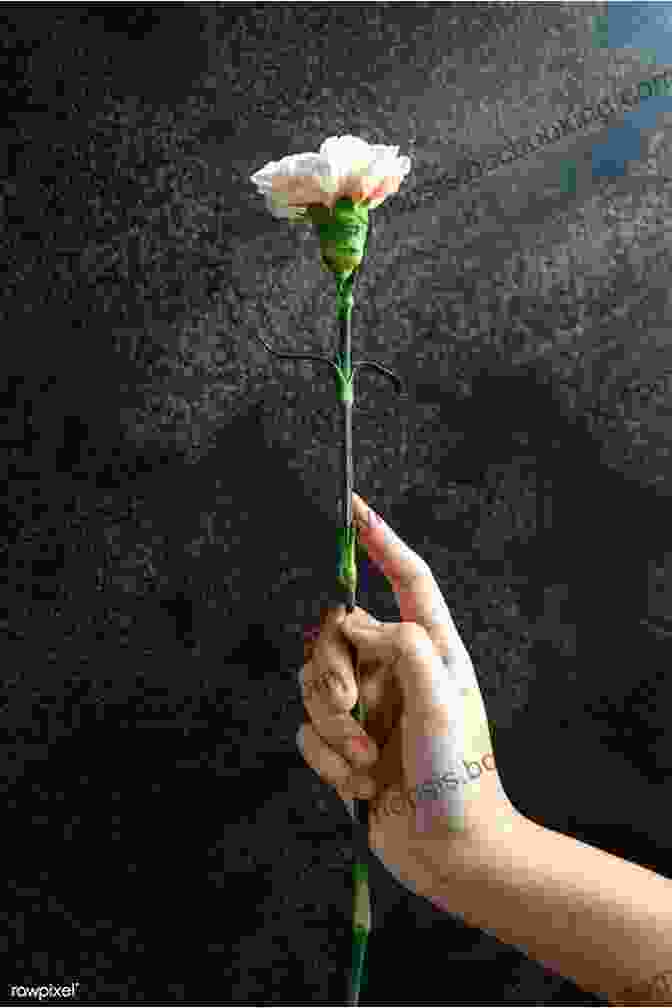 A Close Up Of A Woman's Hand Holding A Flower, Symbolizing Growth And Healing Return To Sanctuary Lina Acevedo