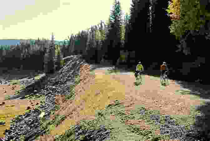 A Family Cycling Through A Lush Forest On A Rail Trail In Washington Rail Trails Washington Oregon Rails To Trails Conservancy