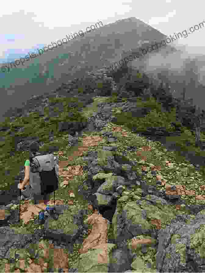 A Hiker Traverses A Rocky Section Of The Appalachian Trail, Surrounded By Lush Greenery A Tale Of Two Trails