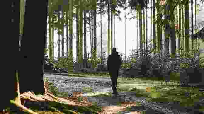 A Man Walking Alone Through A Forest Chanan And His Violin And Other Stories