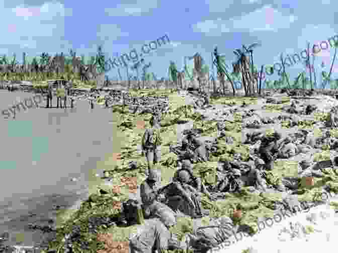 A Photo Of The Island Of Peleliu During The Battle Twenty Two On Peleliu: Four Pacific Campaigns With The Corps