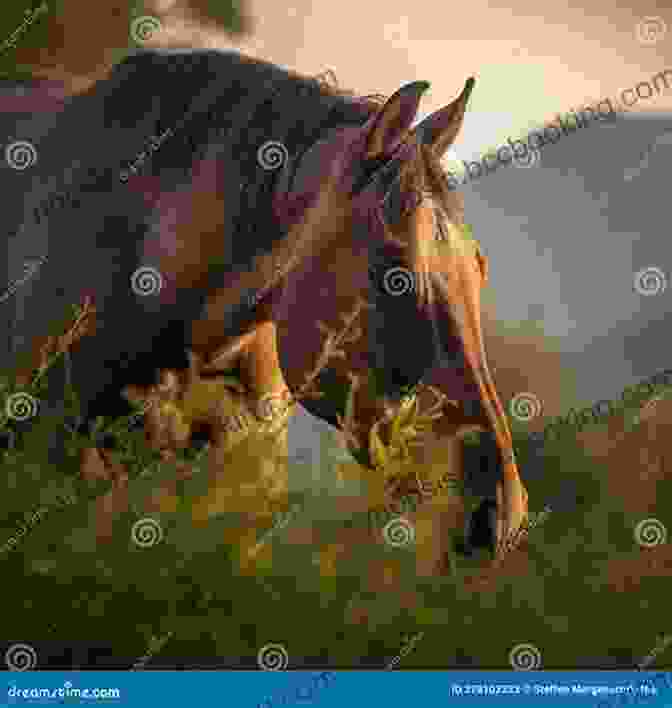 A Serene Image Of A Horse Grazing Peacefully In A Lush Meadow, Symbolizing The Tranquility Found In Equine Companionship. Long Shot: My Bipolar Life And The Horses Who Saved Me