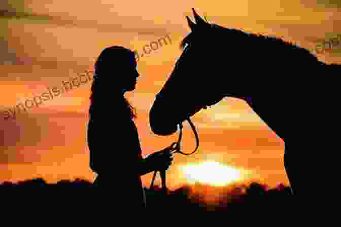 A Woman Riding A Horse Against The Backdrop Of A Golden Sunset, Representing The Journey Towards Recovery And The Transformative Power Of Equine Therapy. Long Shot: My Bipolar Life And The Horses Who Saved Me
