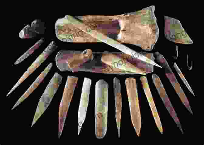 Ancient Stone And Bone Tools The Machine In America: A Social History Of Technology