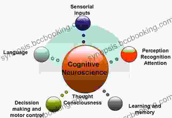 Applications Of Cognitive Neuroscience In Various Fields Cognitive Neuroscience Marie T Banich