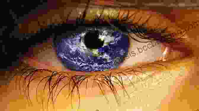 Book Cover: How To See The World How To See The World: An To Images From Self Portraits To Selfies Maps To Movies And More