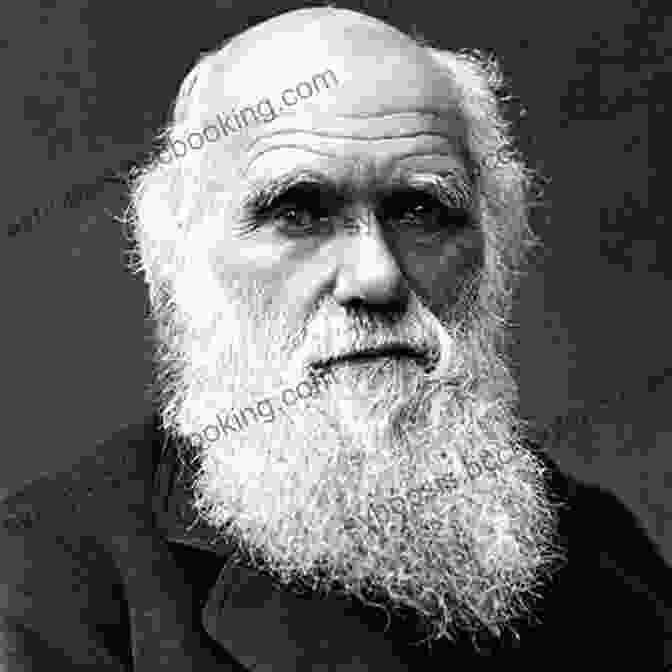 Charles Darwin, The Renowned Naturalist And Father Of Evolution By Natural Selection. Evolution S Captain: NF Abt Capt FitzRoy Chas Darwin