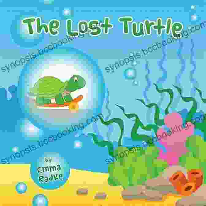 Cover Of The Lost Turtle Karen Kilpatrick