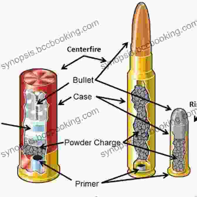 Detailed Diagram Illustrating The Anatomy Of A Cartridge, Highlighting Its Essential Components The Gun Guide For People Who Know Nothing About Firearms