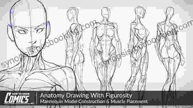 Drawing Atelier: The Figure Book Cover, Featuring A Detailed Pencil Drawing Of A Human Torso. Drawing Atelier The Figure: How To Draw In A Classical Style