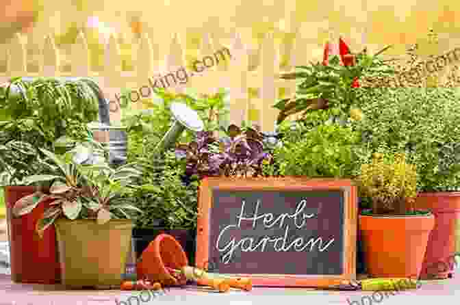 Image Of A Lush Herb Garden With Various Medicinal Herbs Learn Herbs: Tea Infusion Juice Recipes