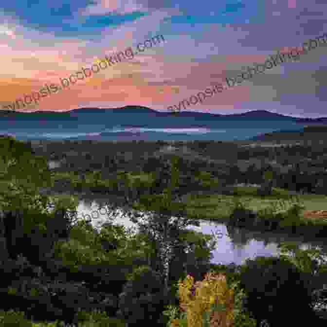Panorama Of The Arkansas Ozarks, Showcasing Rolling Hills And Lush Forests Buried Treasures Of The Ozarks