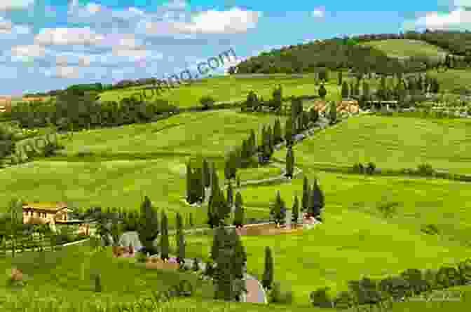 Rolling Hills And Cypress Trees In Val D'Orcia, Tuscany Walking In Tuscany: 43 Walks Including Val D Orcia San Gimignano And The Isle Of Elba (International Walking)