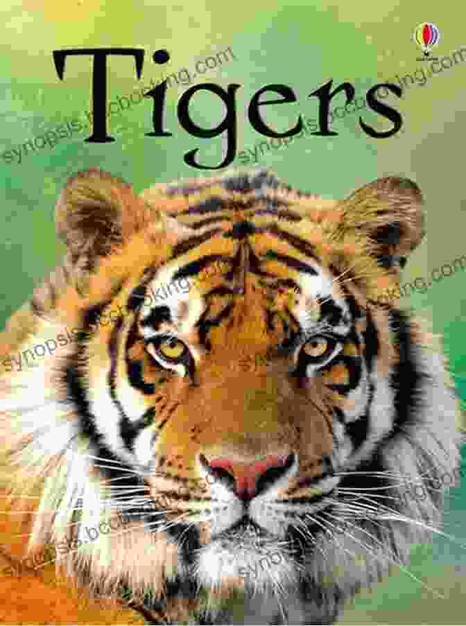 Safari Readers Tigers Book Cover Featuring A Majestic Tiger In Its Natural Habitat Safari Readers: Tigers (Safari Readers Wildlife For Kids 7)