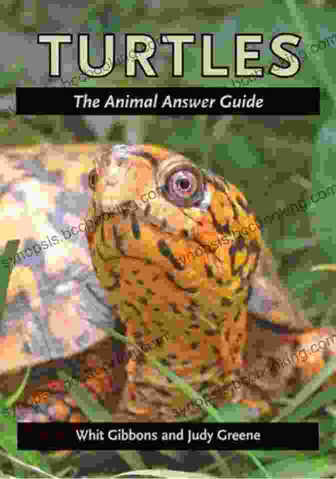 The Animal Answer Guide Book Cover Penguins: The Animal Answer Guide (The Animal Answer Guides: Q A For The Curious Naturalist)