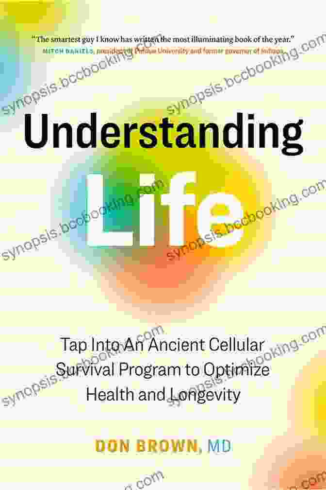 Understanding Life Book Cover Understanding Life: By Jayne Johnson