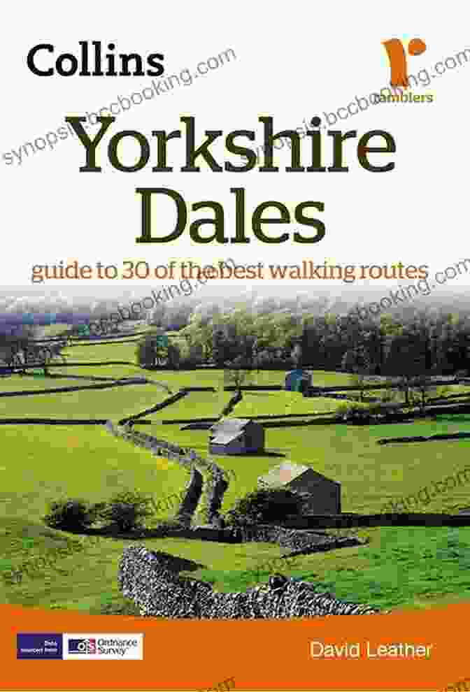 Up And Down In The Dales: A Rambler's Guide To The Yorkshire Dales Up And Down In The Dales (The Dales 4)