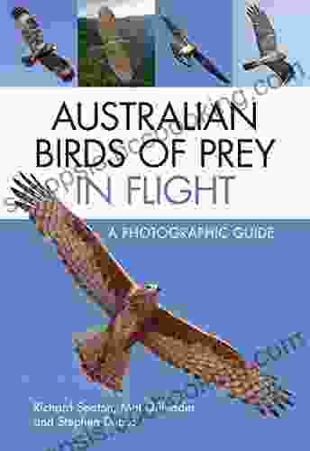 Australian Birds Of Prey In Flight: A Photographic Guide