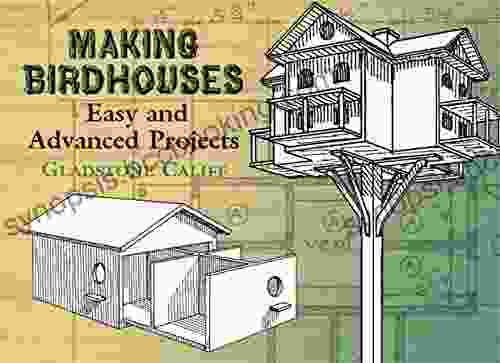 Making Birdhouses: Easy And Advanced Projects (Dover Woodworking)