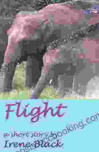 Flight: A Short Story Irene Black