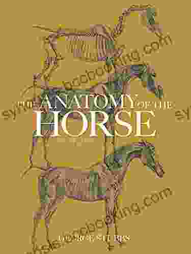 The Anatomy Of The Horse (Dover Anatomy For Artists)