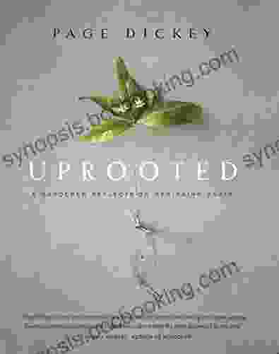 Uprooted: A Gardener Reflects On Beginning Again